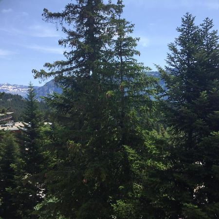 Apartmán Logement Avec Terrasse, Superbe Vue Et Parking Chamrousse Exteriér fotografie